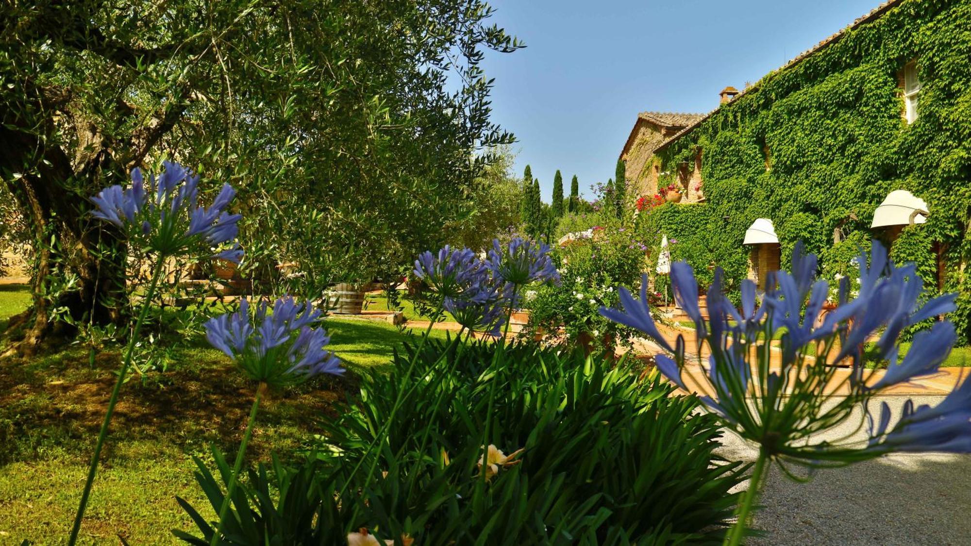 Agriturismo La Sovana Sarteano Dış mekan fotoğraf