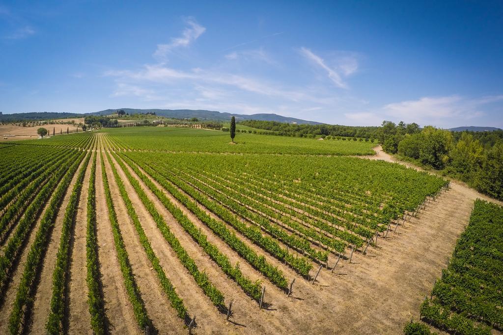 Agriturismo La Sovana Sarteano Dış mekan fotoğraf