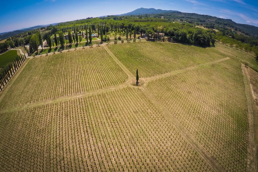 Agriturismo La Sovana Sarteano Dış mekan fotoğraf